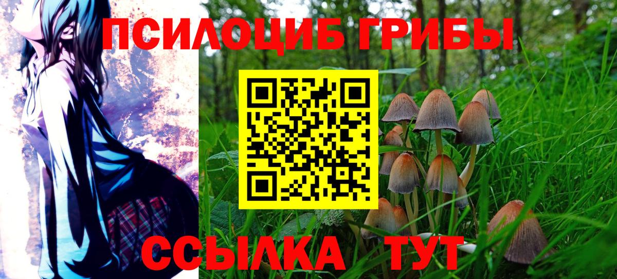 магазин    Псилоцибиновые грибы мицелий  Вход с VPN  Тара 
